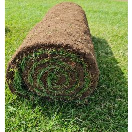 London Premium Turf | London Lawn Turf Company